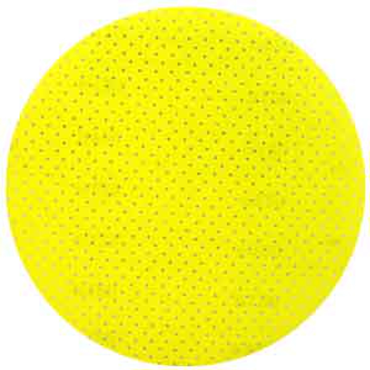 Jost Premium Sanding Disc 80