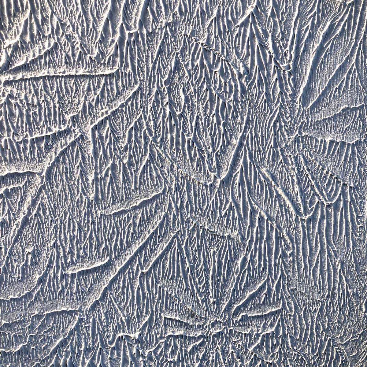 Drywall Texture Roller (Foliage)