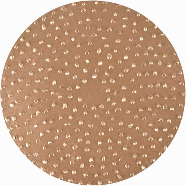 TapeTech Sanding Disc EDISCTC16