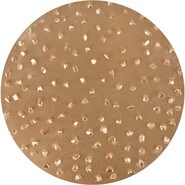 TapeTech Sanding Disc EDISCTC12