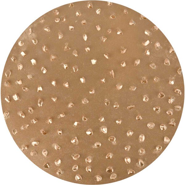 TapeTech Sanding Disc EDISCTC12